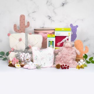 Baby gift hamper hk