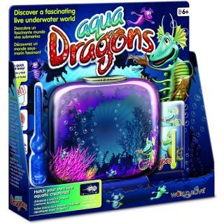 Aqua Dragons Underwater World