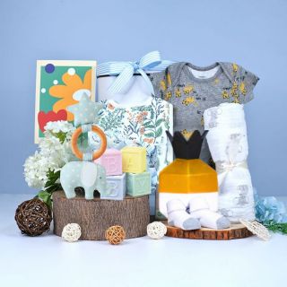 Little Elephant Gift Set for Baby Boy