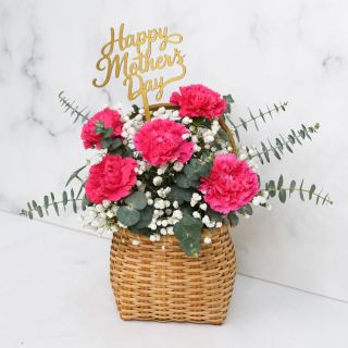 Carnations with Baby Breath in Basket for Mother's Day (Hot Pink)