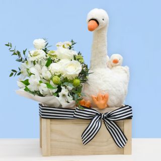 Featherful Swan soft plush toy with white floral bouquet in gift box