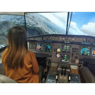 Flight Simulator Experience