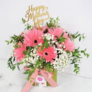 Gerbera with Baby Breath in Square Flower Box For Mother's Day