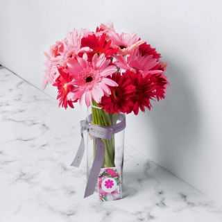 Gerberas with Vase