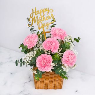 Carnations with Baby Breath in Basket for Mother's Day