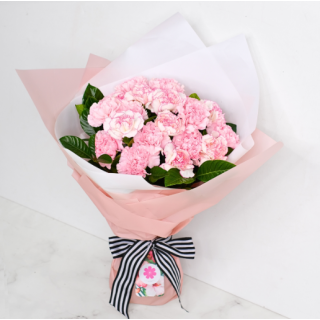 Pink Serenade Carnation for Mother's Day