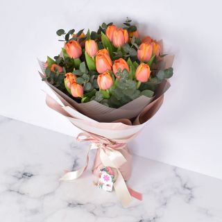 Spring Tulips