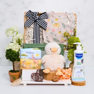 Huggable Baby Essentials Gift Set